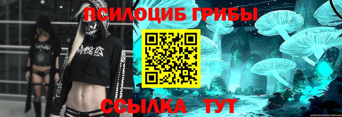 Галлюциногенные грибы GOLDEN TEACHER Мурино