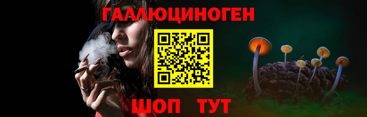 как найти   Галлюциногенные грибы мицелий  Вход с VPN  Мурино 