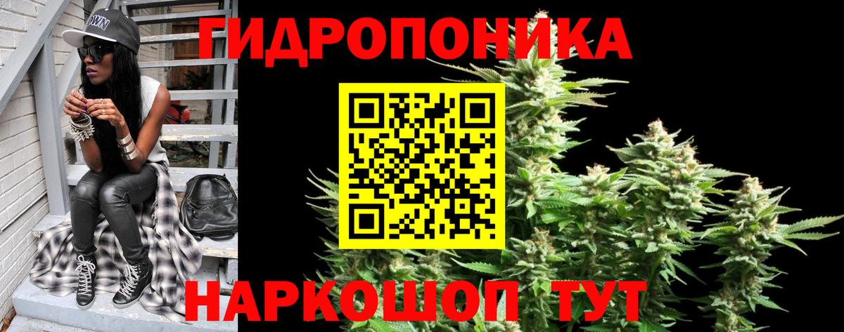 Марихуана Bruce Banner  Шишки марихуана план  Мурино  Вход с VPN  Конопля тримм 
